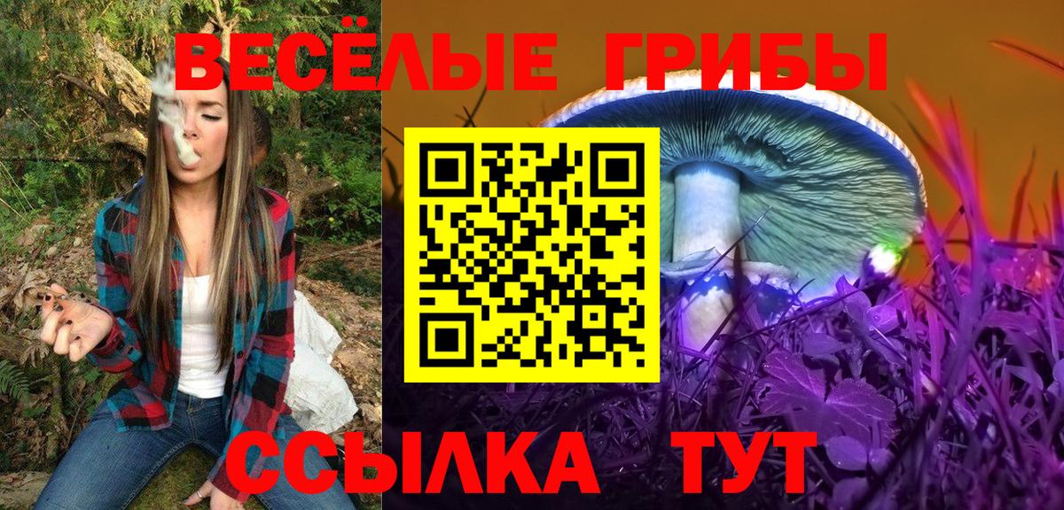 Ялуторовск  Псилоцибиновые грибы Psilocybine cubensis  Вход с VPN 